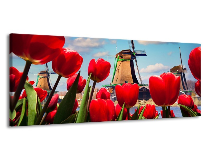 Canvas Schilderij Tulpen, Molen | Rood, Blauw, Grijs | 145x58cm 1Luik