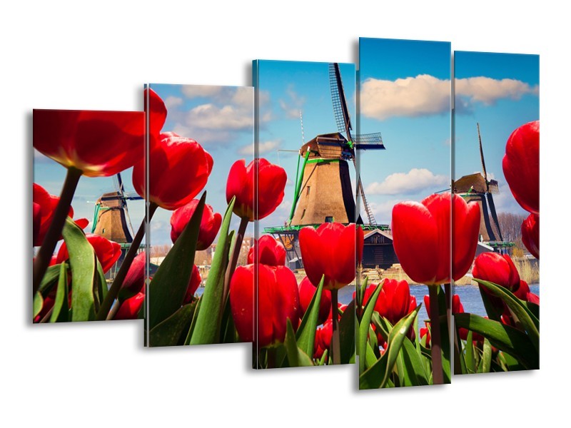 Glasschilderij Tulpen, Molen | Rood, Blauw, Grijs | 150x100cm 5Luik