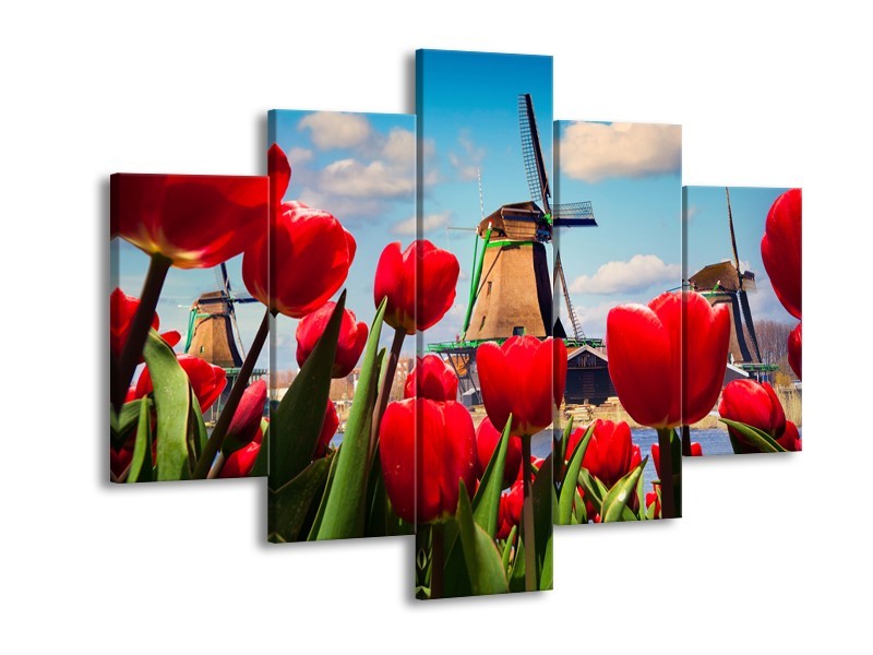 Glasschilderij Tulpen, Molen | Rood, Blauw, Grijs | 150x105cm 5Luik