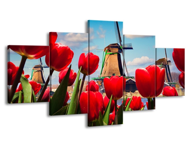 Glasschilderij Tulpen, Molen | Rood, Blauw, Grijs | 150x80cm 5Luik