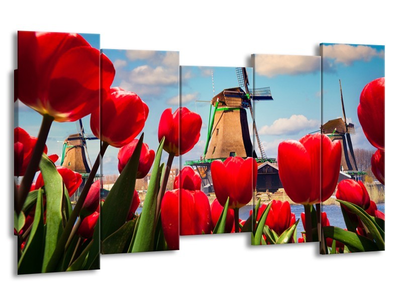 Canvas Schilderij Tulpen, Molen | Rood, Blauw, Grijs | 150x80cm 5Luik
