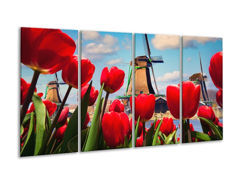 Glasschilderij Tulpen, Molen | Rood, Blauw, Grijs | 160x80cm 4Luik