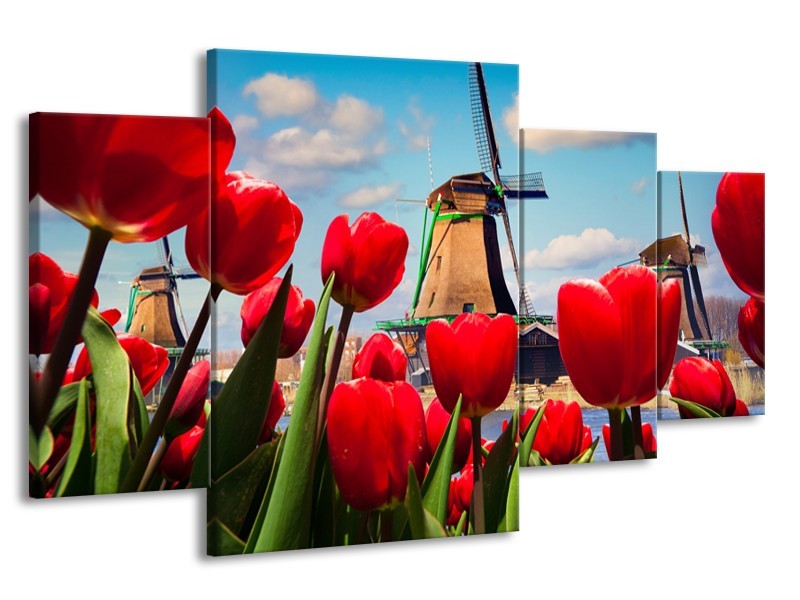 Canvas Schilderij Tulpen, Molen | Rood, Blauw, Grijs | 160x90cm 4Luik