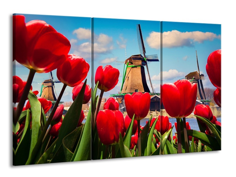Canvas Schilderij Tulpen, Molen | Rood, Blauw, Grijs | 165x100cm 3Luik