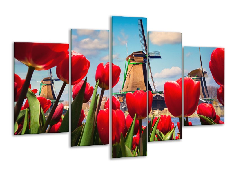 Canvas Schilderij Tulpen, Molen | Rood, Blauw, Grijs | 170x100cm 5Luik
