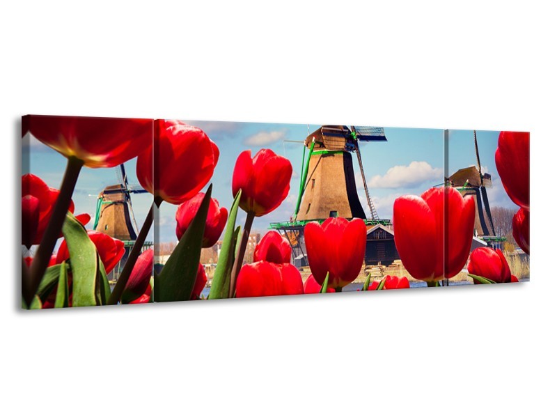 Canvas Schilderij Tulpen, Molen | Rood, Blauw, Grijs | 170x50cm 3Luik