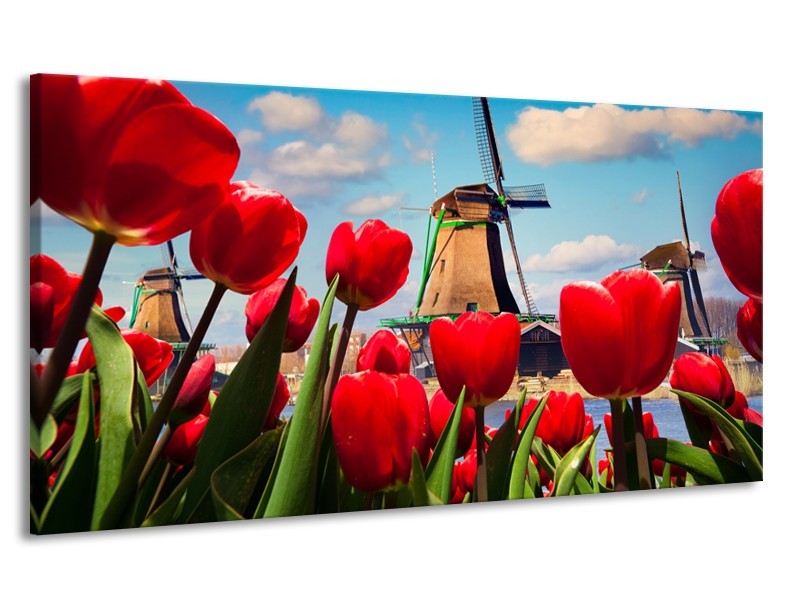 Canvas Schilderij Tulpen, Molen | Rood, Blauw, Grijs | 170x90cm 1Luik