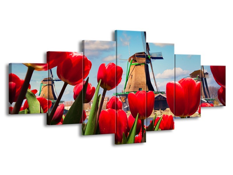 Canvas Schilderij Tulpen, Molen | Rood, Blauw, Grijs | 210x100cm 7Luik