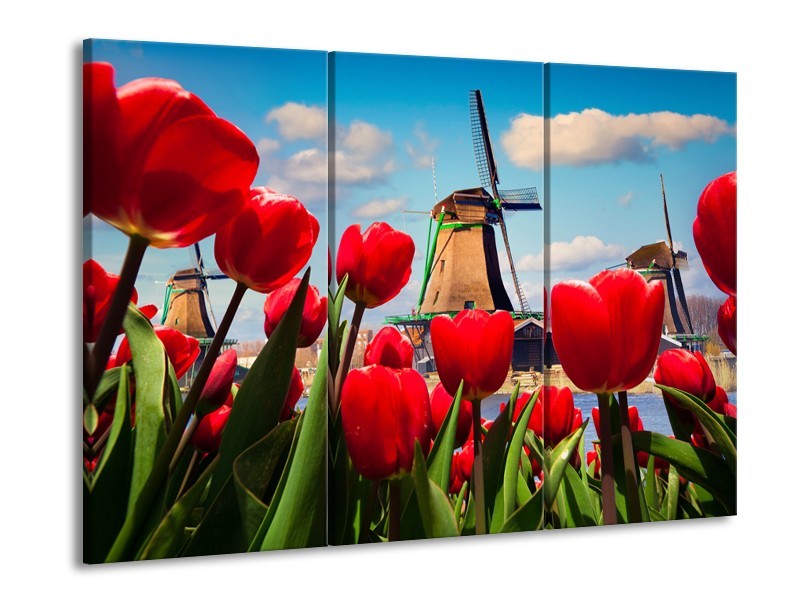 Canvas Schilderij Tulpen, Molen | Rood, Blauw, Grijs | 60x90cm 3Luik