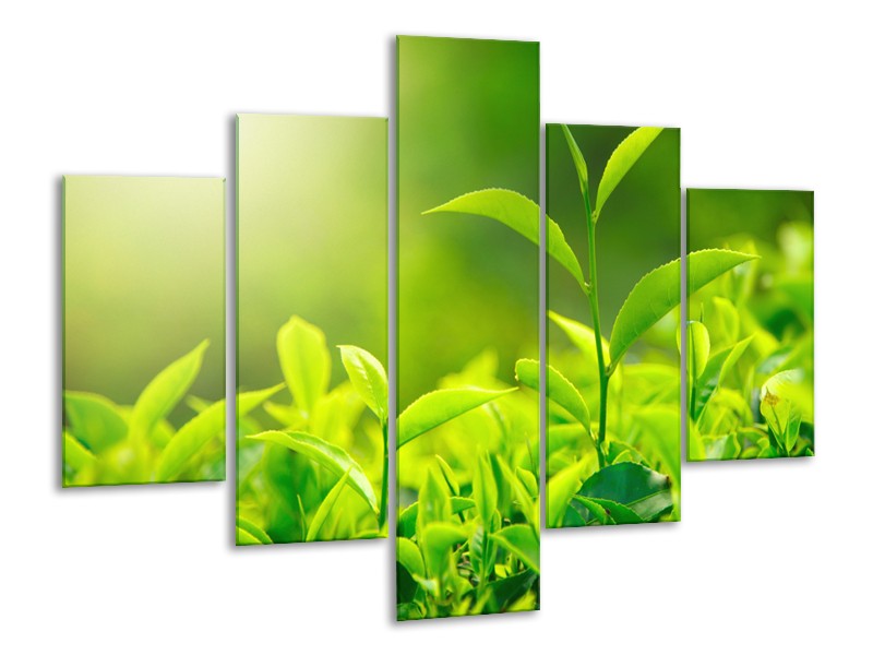 Canvas Schilderij Natuur | Groen, Geel | 100x70cm 5Luik
