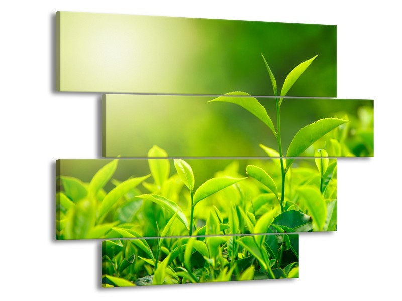 Glasschilderij Natuur | Groen, Geel | 115x85cm 4Luik