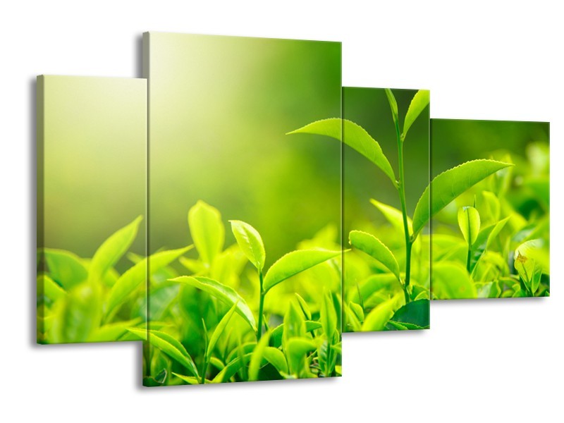 Canvas Schilderij Natuur | Groen, Geel | 120x75cm 4Luik