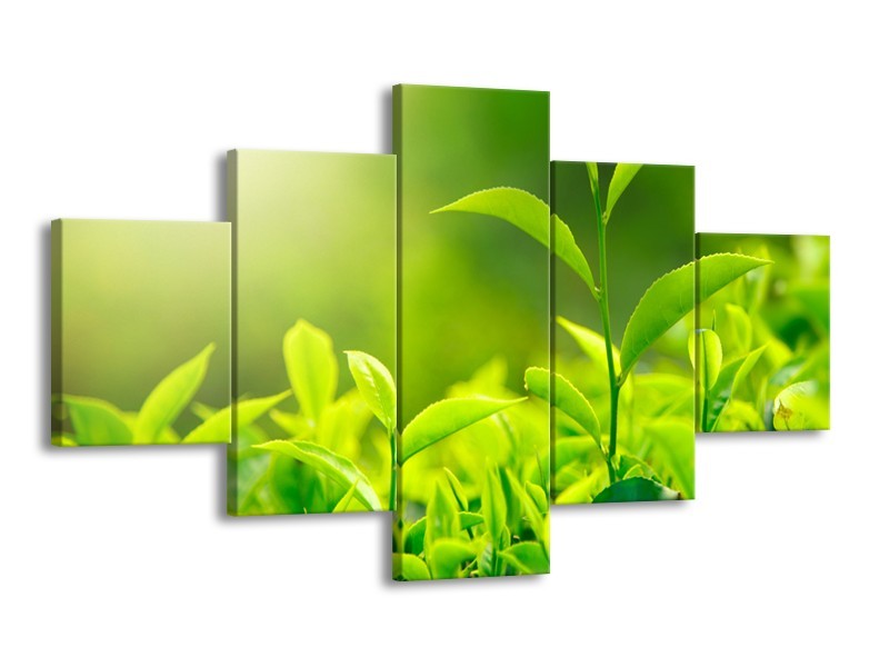 Canvas Schilderij Natuur | Groen, Geel | 125x70cm 5Luik