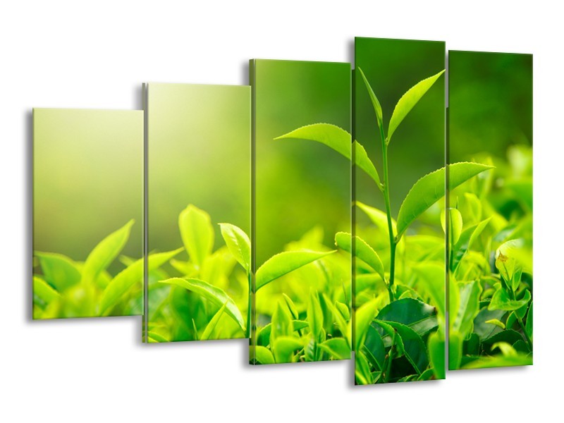 Canvas Schilderij Natuur | Groen, Geel | 150x100cm 5Luik