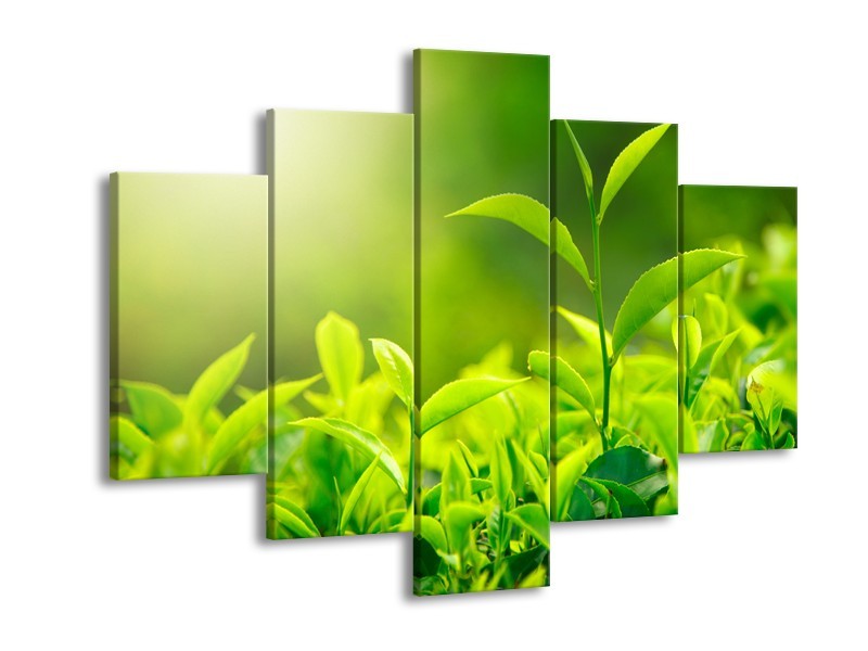 Glasschilderij Natuur | Groen, Geel | 150x105cm 5Luik