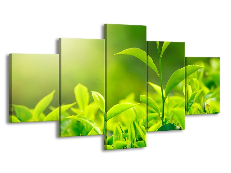Canvas Schilderij Natuur | Groen, Geel | 150x80cm 5Luik
