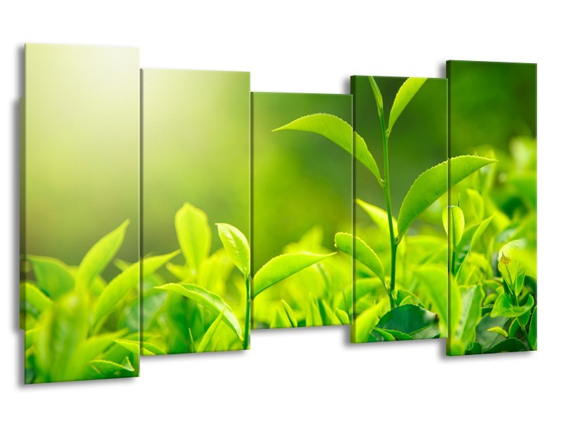 Canvas Schilderij Natuur | Groen, Geel | 150x80cm 5Luik
