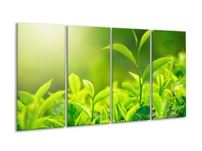 Glasschilderij Natuur | Groen, Geel | 160x80cm 4Luik