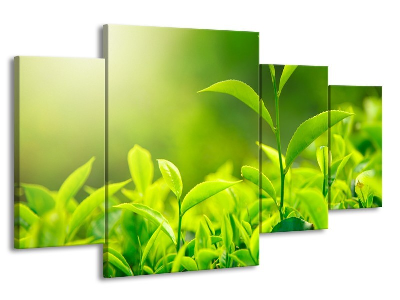 Glasschilderij Natuur | Groen, Geel | 160x90cm 4Luik