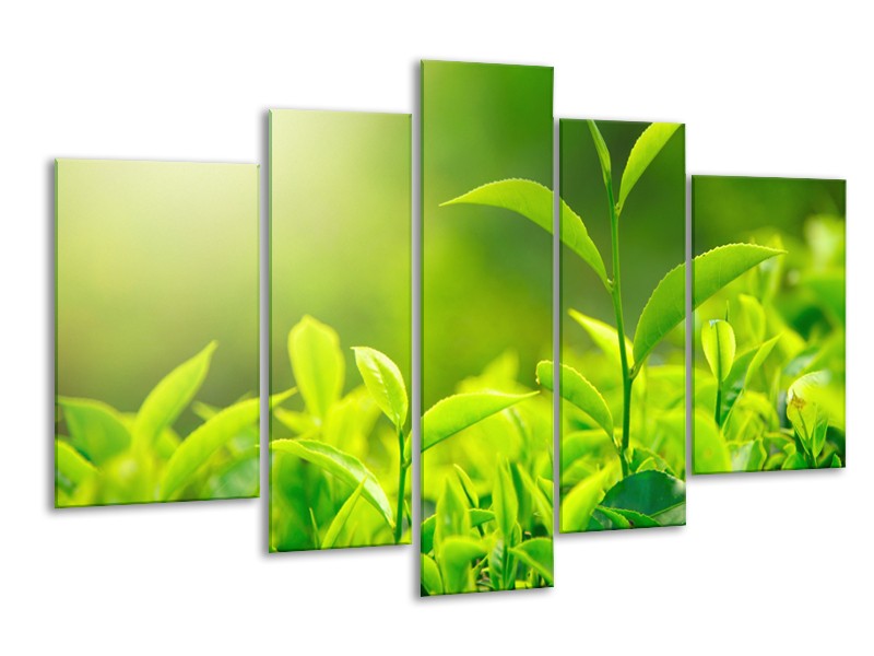 Canvas Schilderij Natuur | Groen, Geel | 170x100cm 5Luik