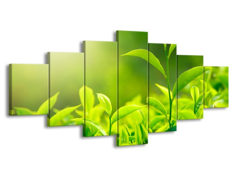 Glasschilderij Natuur | Groen, Geel | 210x100cm 7Luik