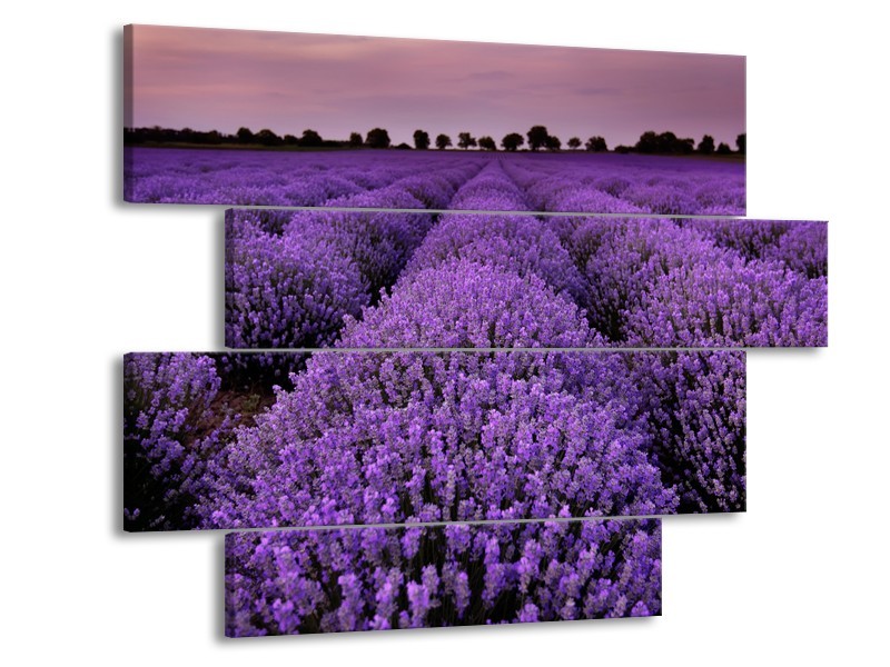 Glasschilderij Lavendel, Landelijk | Paars | 115x85cm 4Luik