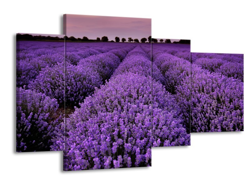 Glasschilderij Lavendel, Landelijk | Paars | 120x75cm 4Luik