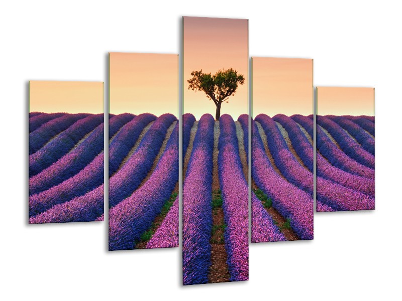 Canvas Schilderij Lavendel, Landelijk | Paars, Crème | 100x70cm 5Luik