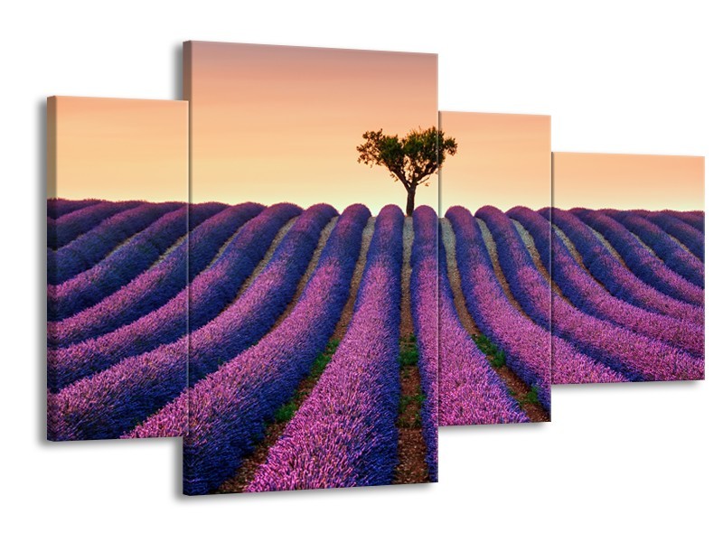 Canvas Schilderij Lavendel, Landelijk | Paars, Crème | 120x75cm 4Luik