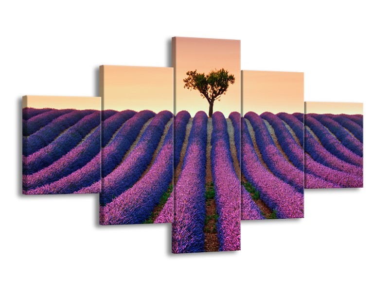Canvas Schilderij Lavendel, Landelijk | Paars, Crème | 125x70cm 5Luik