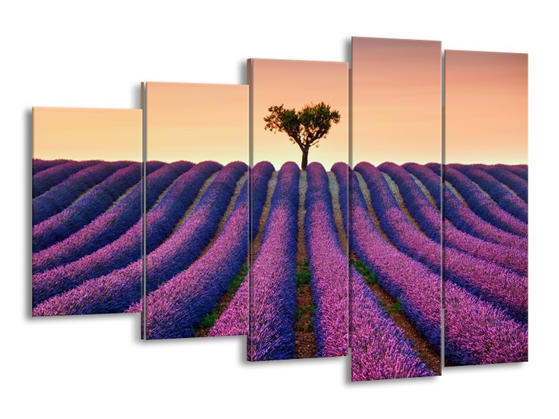 Canvas Schilderij Lavendel, Landelijk | Paars, Crème | 150x100cm 5Luik