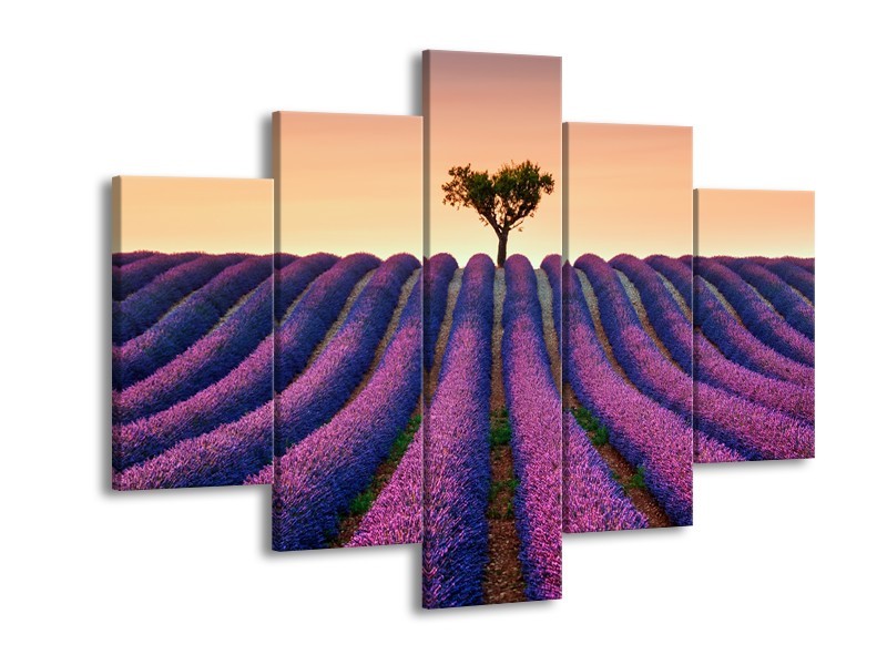 Canvas Schilderij Lavendel, Landelijk | Paars, Crème | 150x105cm 5Luik