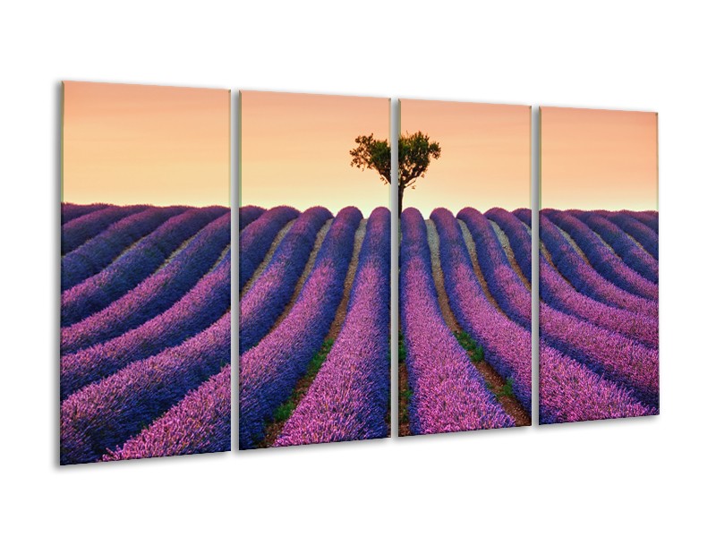 Glasschilderij Lavendel, Landelijk | Paars, Crème | 160x80cm 4Luik