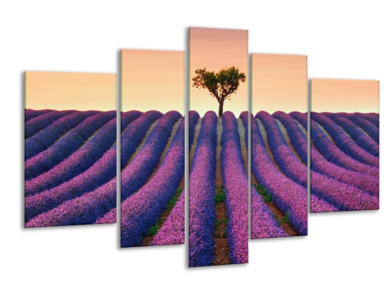 Canvas Schilderij Lavendel, Landelijk | Paars, Crème | 170x100cm 5Luik