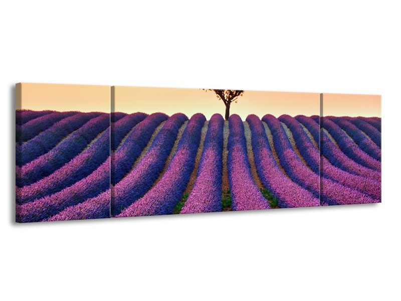 Glasschilderij Lavendel, Landelijk | Paars, Crème | 170x50cm 3Luik