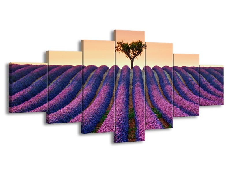 Glasschilderij Lavendel, Landelijk | Paars, Crème | 210x100cm 7Luik