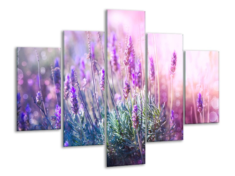 Canvas Schilderij Lavendel, Landelijk | Paars, Crème, Roze | 100x70cm 5Luik