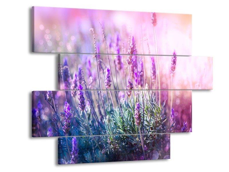 Canvas Schilderij Lavendel, Landelijk | Paars, Crème, Roze | 115x85cm 4Luik