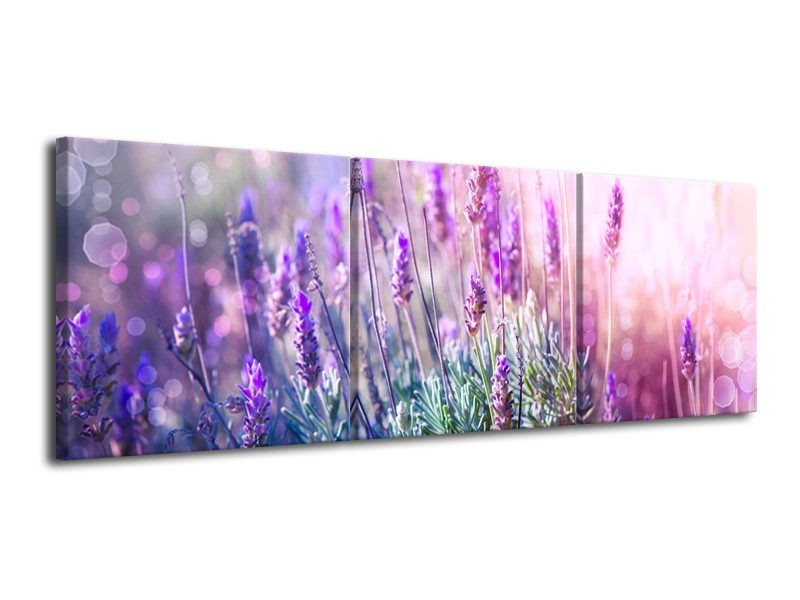 Glasschilderij Lavendel, Landelijk | Paars, Crème, Roze | 120x40cm 3Luik