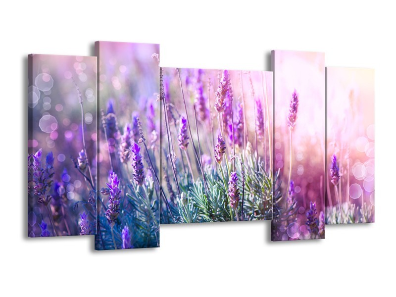 Canvas Schilderij Lavendel, Landelijk | Paars, Crème, Roze | 120x65cm 5Luik