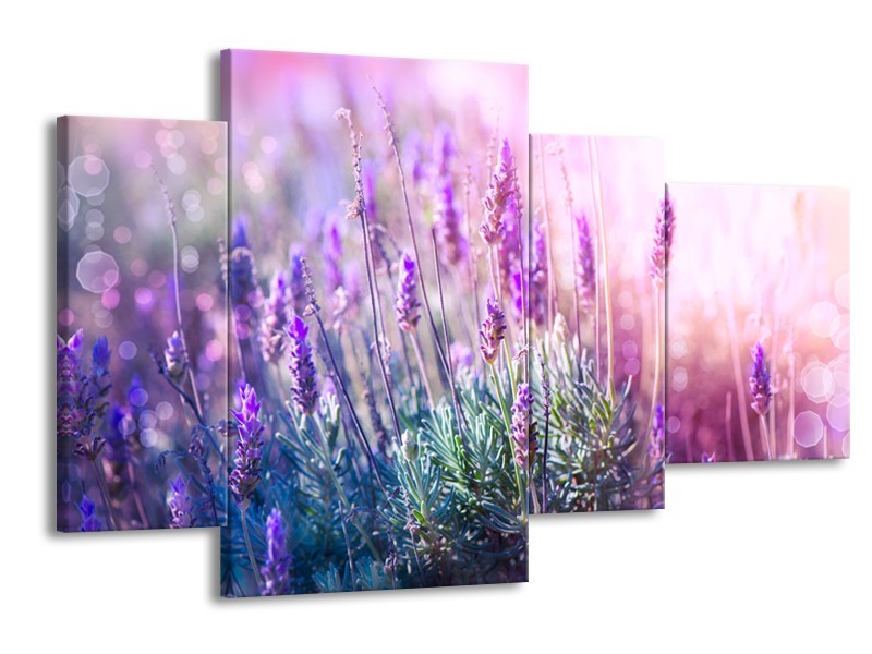 Glasschilderij Lavendel, Landelijk | Paars, Crème, Roze | 120x75cm 4Luik