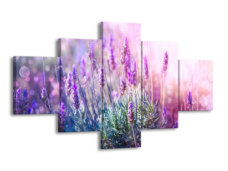 Canvas Schilderij Lavendel, Landelijk | Paars, Crème, Roze | 125x70cm 5Luik