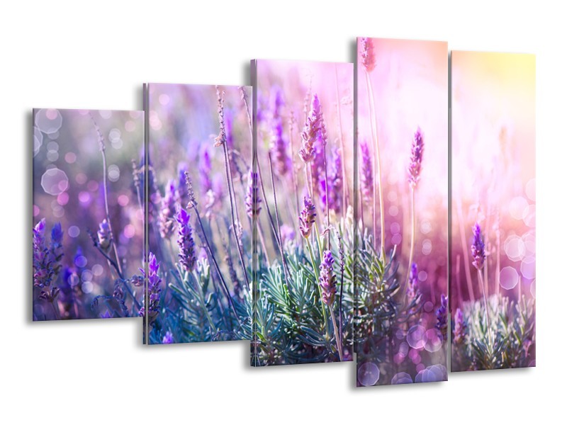 Glasschilderij Lavendel, Landelijk | Paars, Crème, Roze | 150x100cm 5Luik
