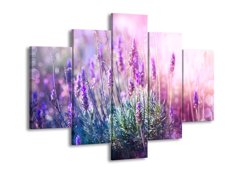 Canvas Schilderij Lavendel, Landelijk | Paars, Crème, Roze | 150x105cm 5Luik