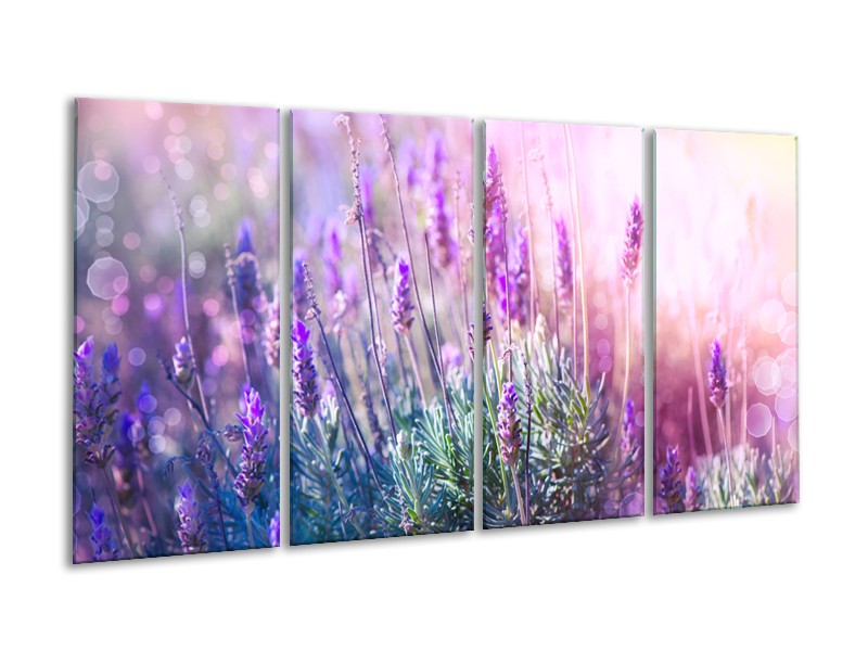 Canvas Schilderij Lavendel, Landelijk | Paars, Crème, Roze | 160x80cm 4Luik