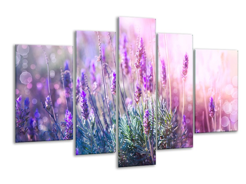Canvas Schilderij Lavendel, Landelijk | Paars, Crème, Roze | 170x100cm 5Luik