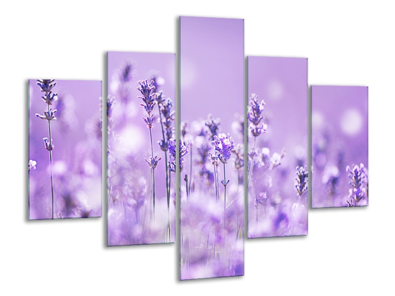Canvas Schilderij Lavendel, Landelijk | Paars, Wit | 100x70cm 5Luik