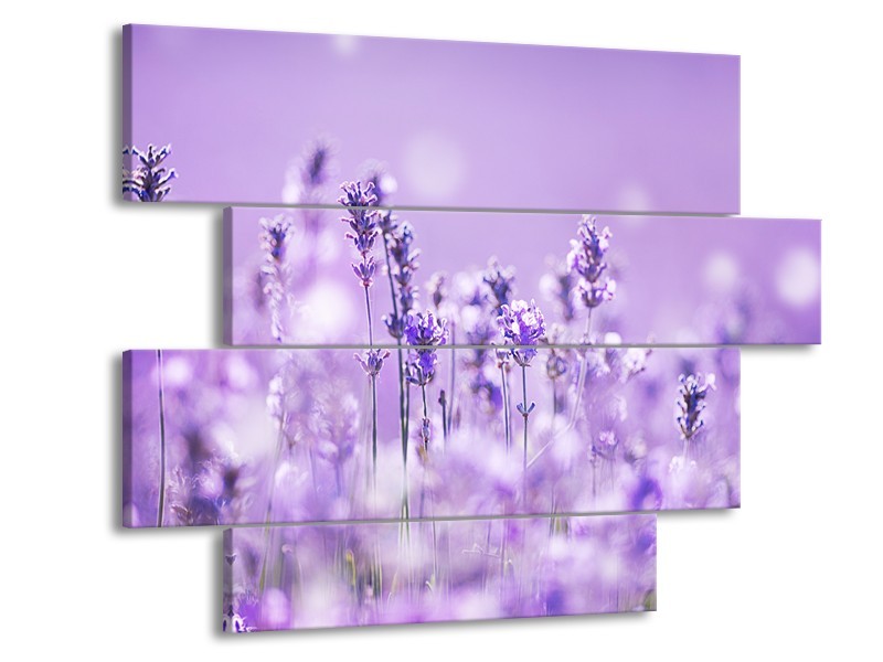 Canvas Schilderij Lavendel, Landelijk | Paars, Wit | 115x85cm 4Luik