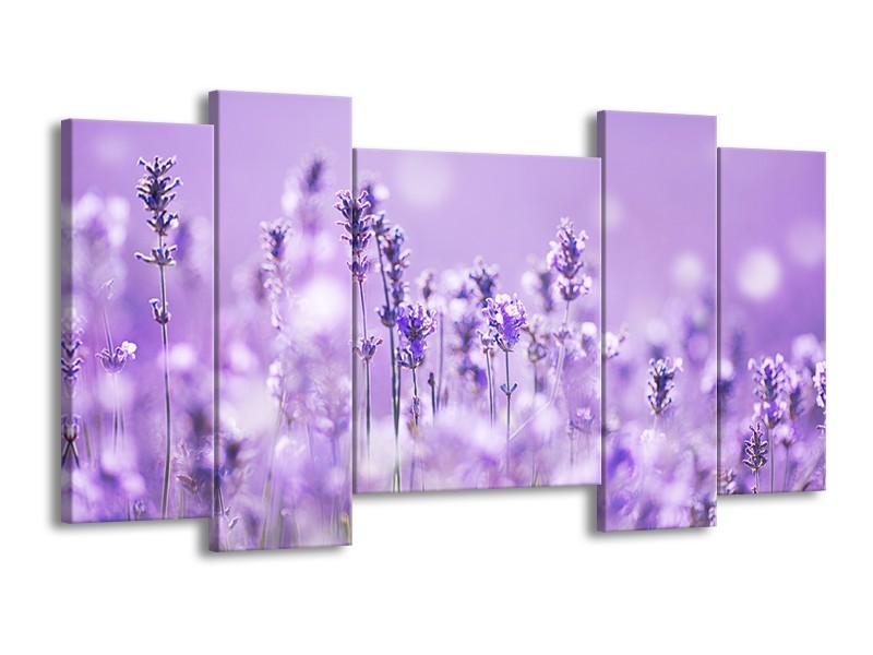Canvas Schilderij Lavendel, Landelijk | Paars, Wit | 120x65cm 5Luik