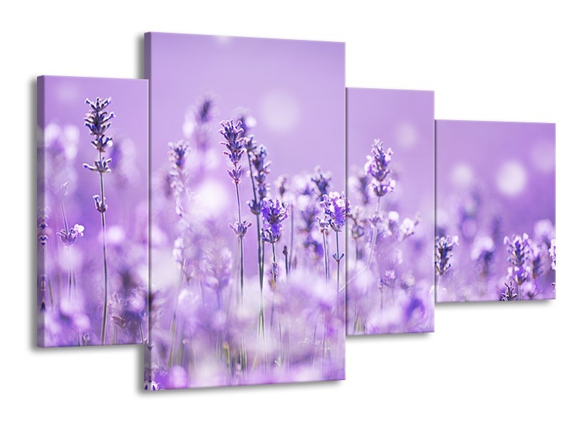 Glasschilderij Lavendel, Landelijk | Paars, Wit | 120x75cm 4Luik
